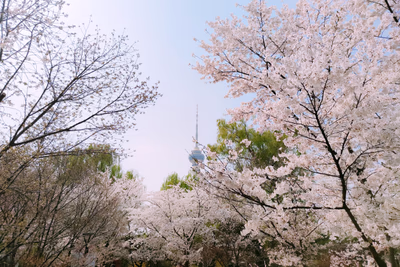 2020-03-29-18-15-38-613